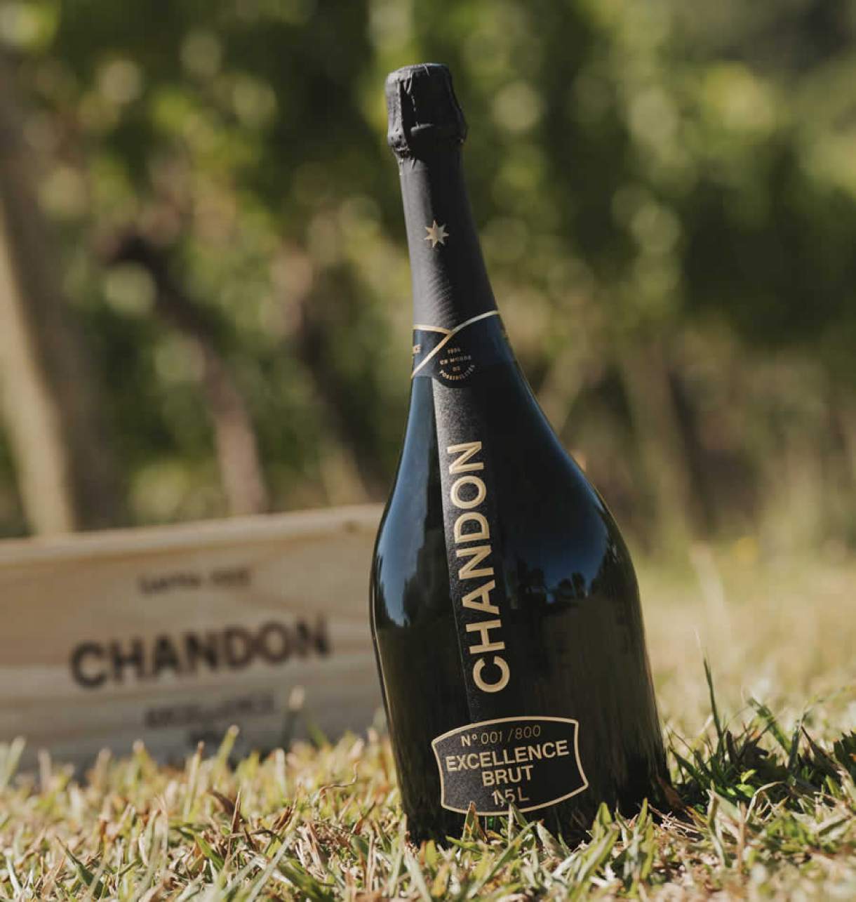 Chandon comemora 50 anos com edição especialíssima de um espumante ...