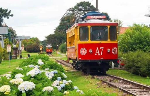 3 Razões para visitar ainda em Março, passeio trem
